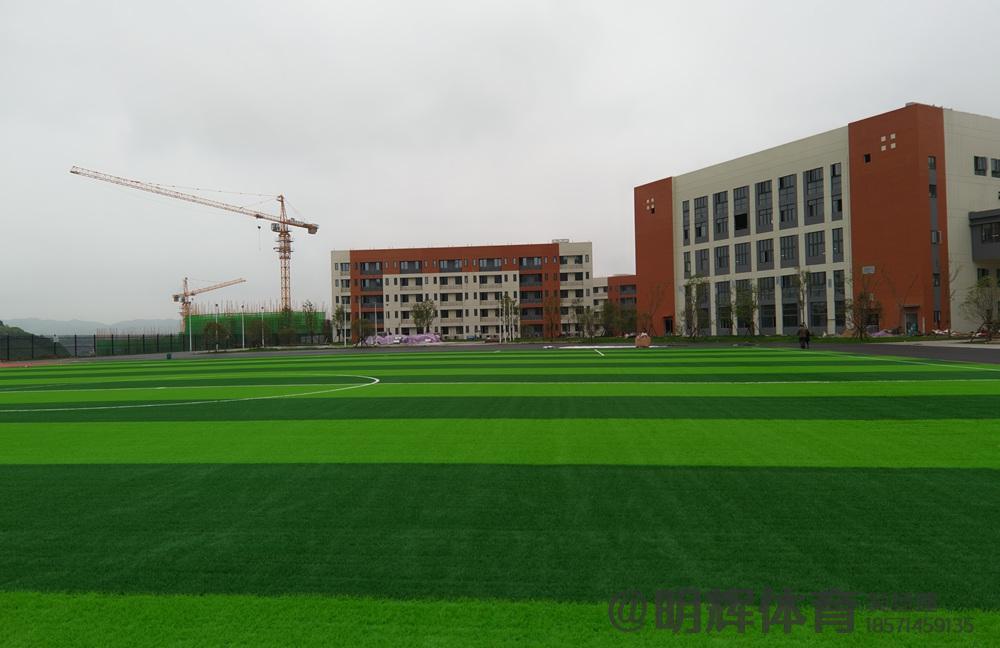 自贡人造草坪足球场